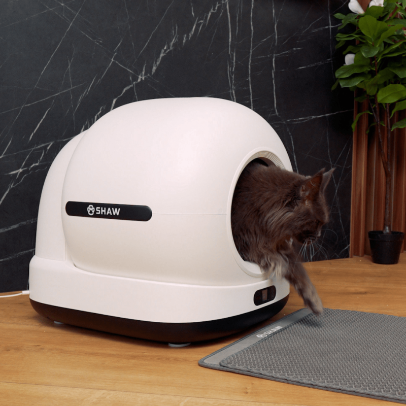 Litiera automata smart SHAW® Ultra pentru pisici, auto-curatare, sterilizare UV, odorizant, aplicatie mobila, negru