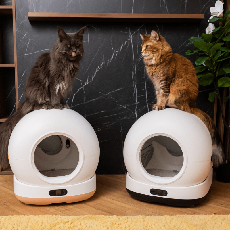 Litiera automata smart SHAW® Ultra pentru pisici, auto-curatare, sterilizare UV, odorizant, aplicatie mobila, negru