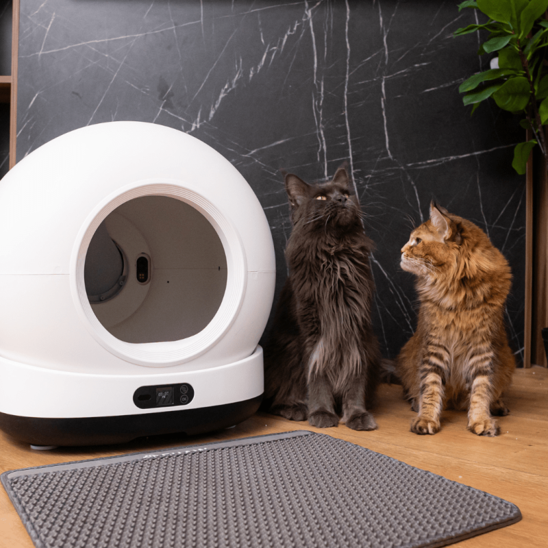 Litiera automata smart SHAW® Ultra pentru pisici, auto-curatare, sterilizare UV, odorizant, aplicatie mobila, negru