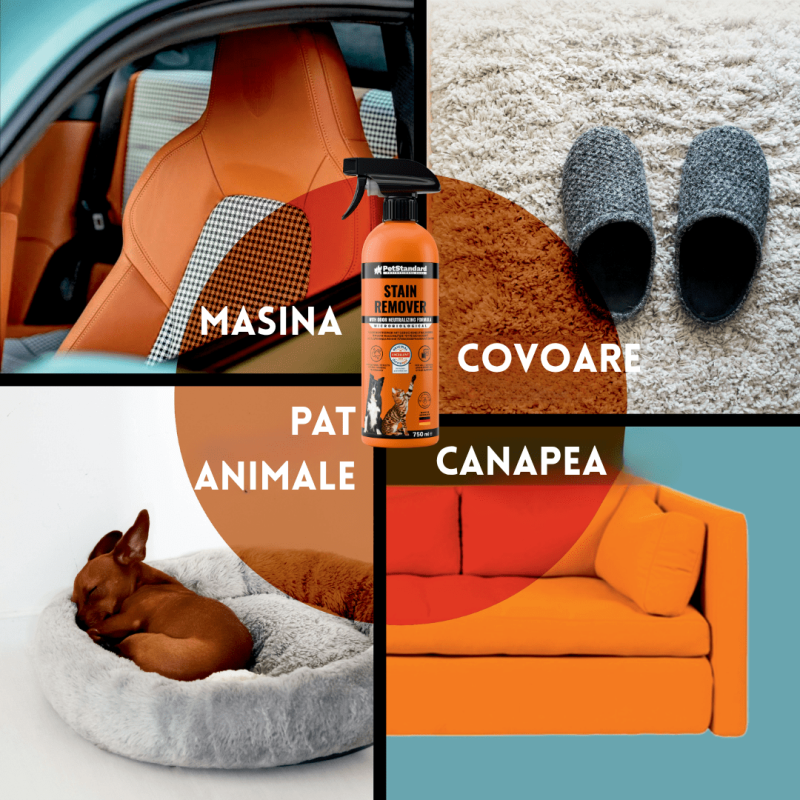 Solutie Profesionala Enzimatica pentru Eliminarea Petelor cu Neutralizare Mirosuri, Pet Standard, 750 ml