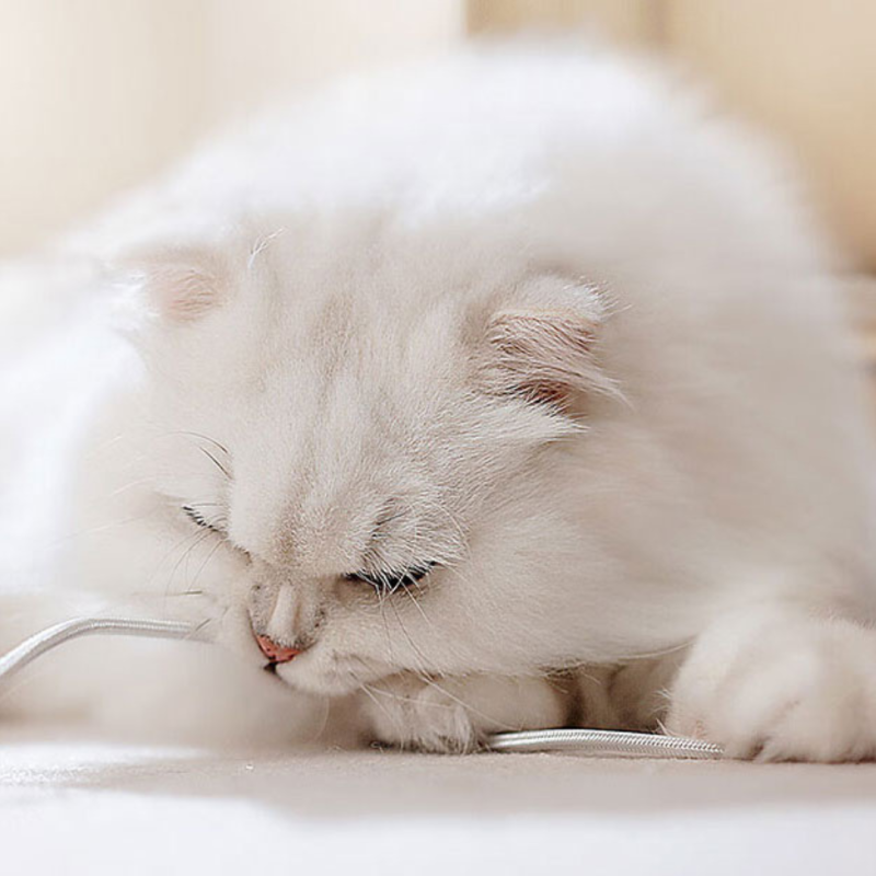 Purificator de Aer SHAW pentru Par de Animale si Alergeni, HEPA, UV, Placa Termica pentru Pisici, 500 m³/h