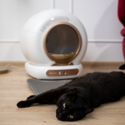 Litiera automata smart SHAW® V4 pentru pisici, auto-curatare, eliminare mirosuri prin ionizare, aplicatie mobila, 9L