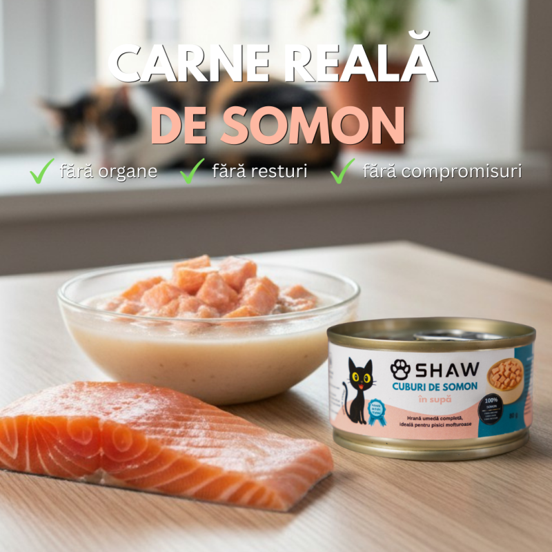 Hrana umeda premium SHAW pentru pisici adulte si mofturoase cuburi de somon in supa, fara cereale, 80g