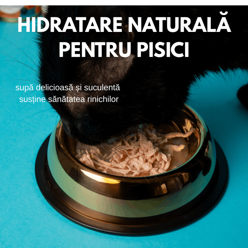 Hrana umeda premium SHAW pentru pisici adulte si mofturoase cu piept de curcan maruntit in supa, fara cereale, 80g