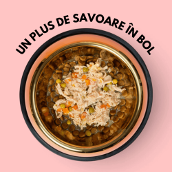 Topper premium pentru câini SHAW cu piept de pui, morcov, broccoli și mazăre în supă, hrană umedă complementară, 170 g
