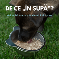Hrană umedă premium pentru câini SHAW, Piept de Curcan Mărunțit în Supă, hrană completă, fără cereale, 200 g