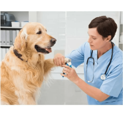 Cleste de unghii SHAW® pentru caini si pisici cu protectie, albastru