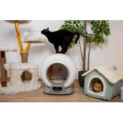 Litiera automata smart SHAW® V2 pentru pisici, auto-curatare, sterilizare, aplicatie mobila, 9L