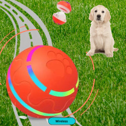 Minge automata interactiva pentru caini, cu baterie, incarcare USB