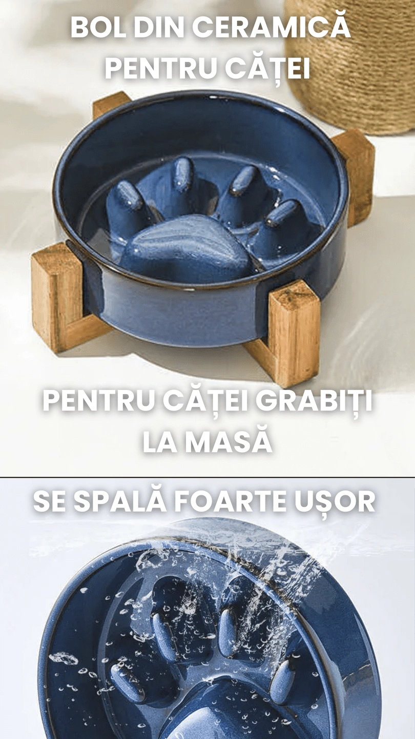Bol din ceramica pentru animale