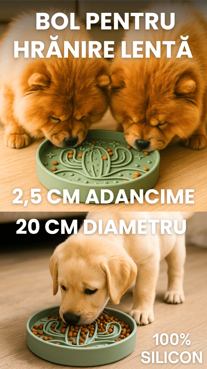 Bol hranire lenta