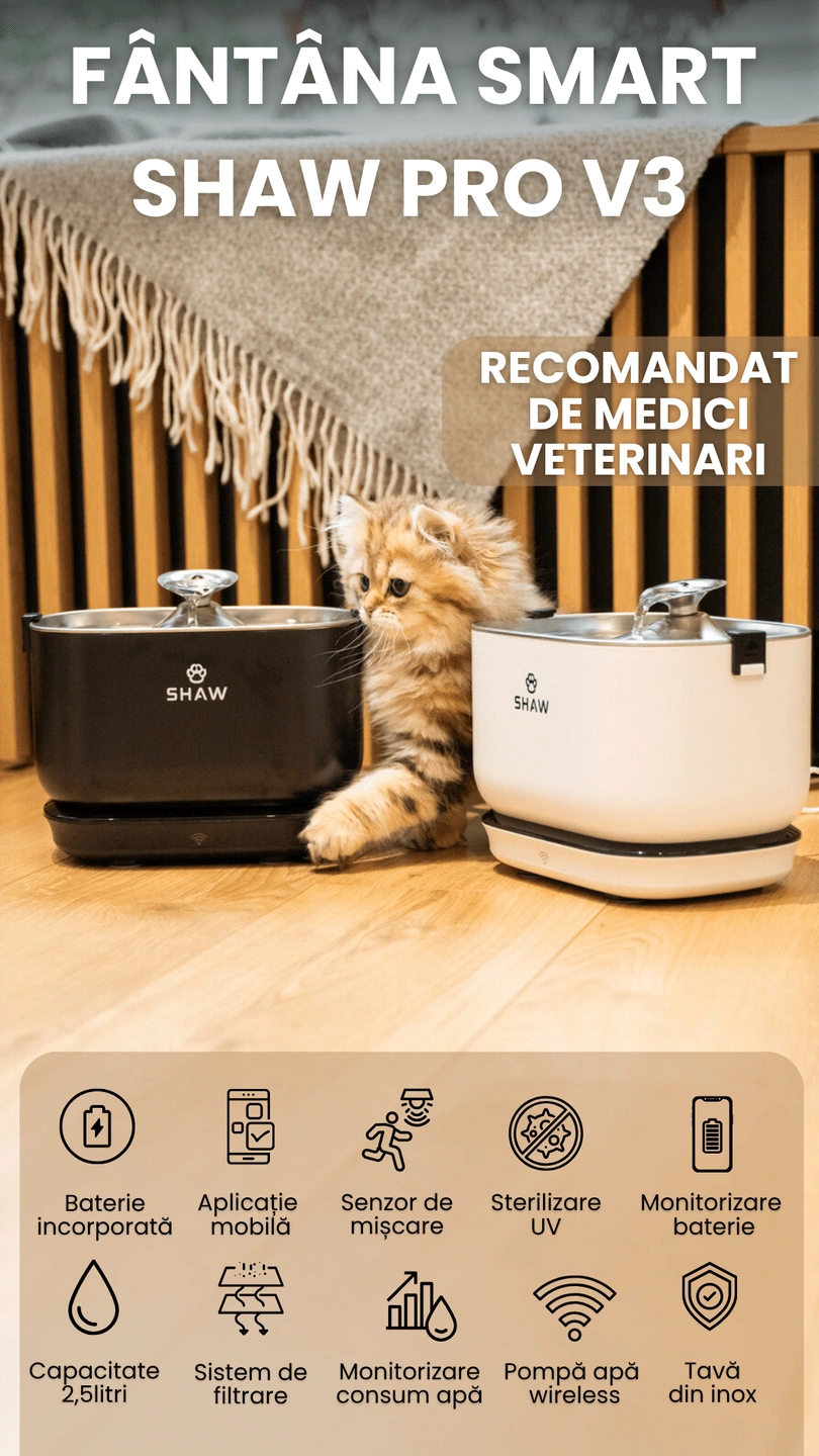 Fantana de apa smart SHAW