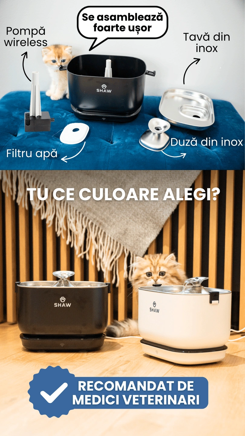 Fantana de apa smart SHAW