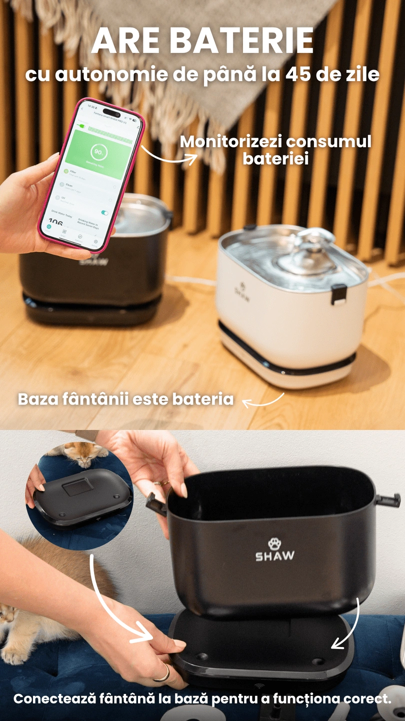 Fantana de apa smart SHAW