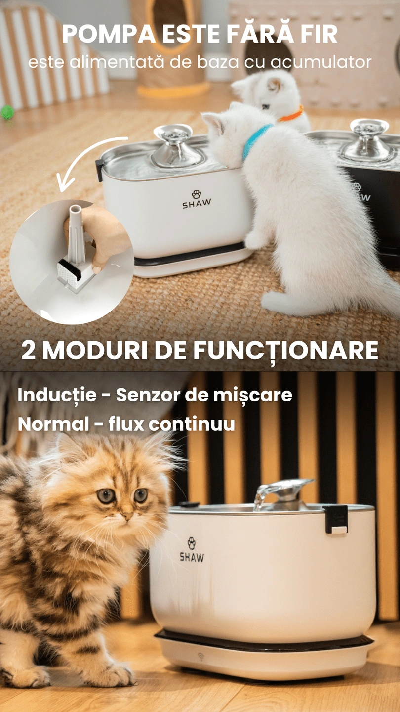 Fantana de apa smart SHAW