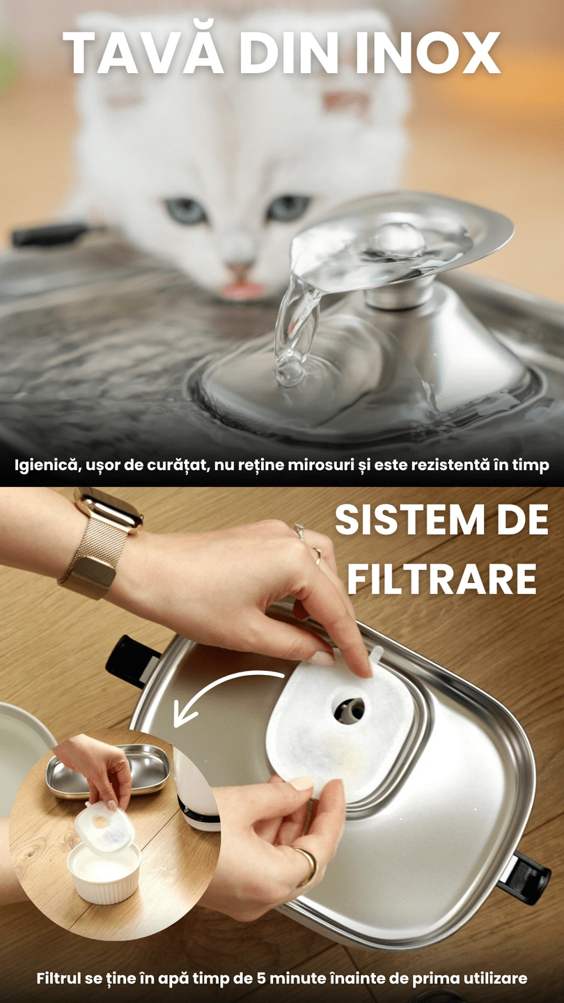 Fantana de apa smart SHAW