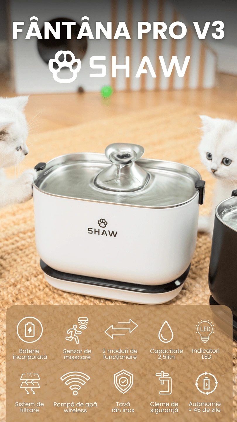 Fantana cu baterie SHAW