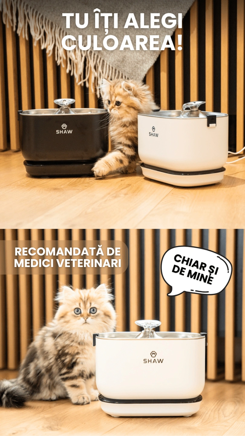 Fantana cu baterie SHAW