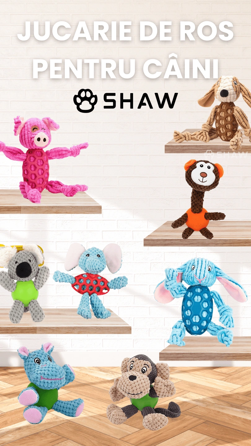 Jucarie plus pentru caini SHAW