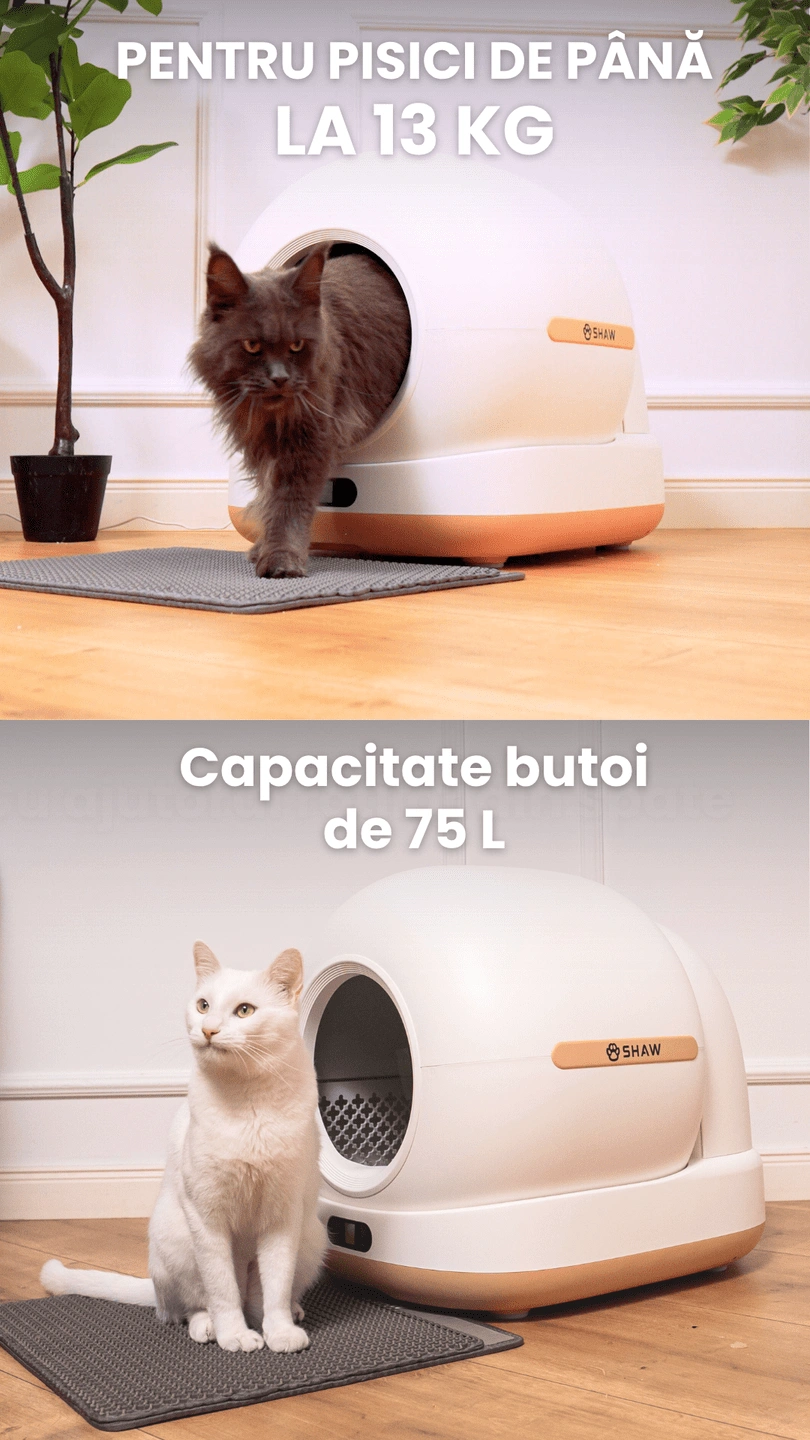 Litiera automata SHAW Ultra