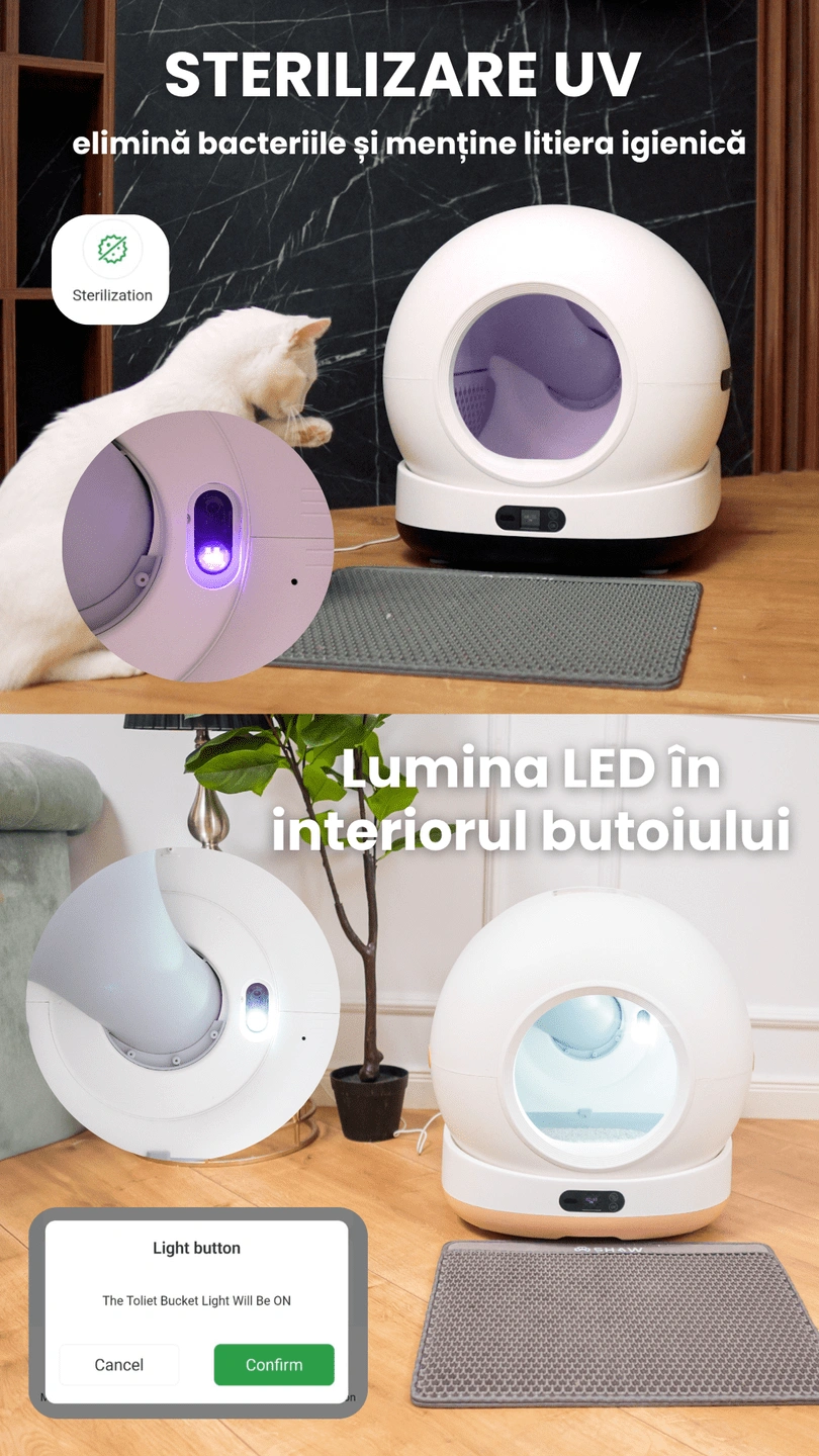 Litiera cu camera SHAW