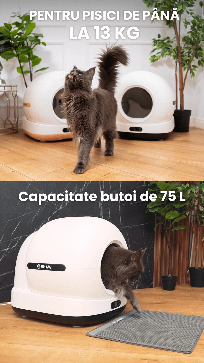 Litiera cu camera SHAW