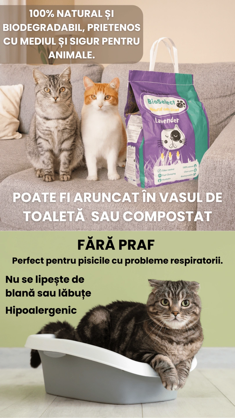 Nisip Biodegradabil pentru litiere