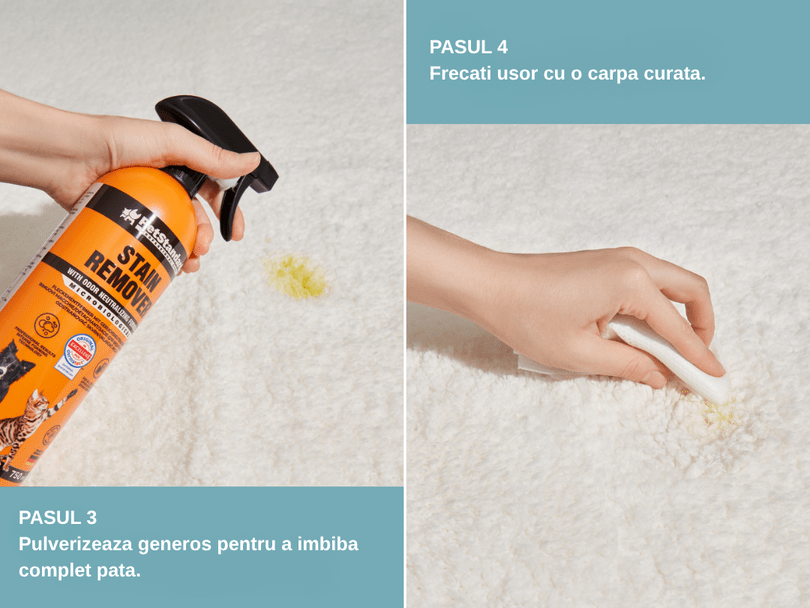 Sloutie eliminare pete