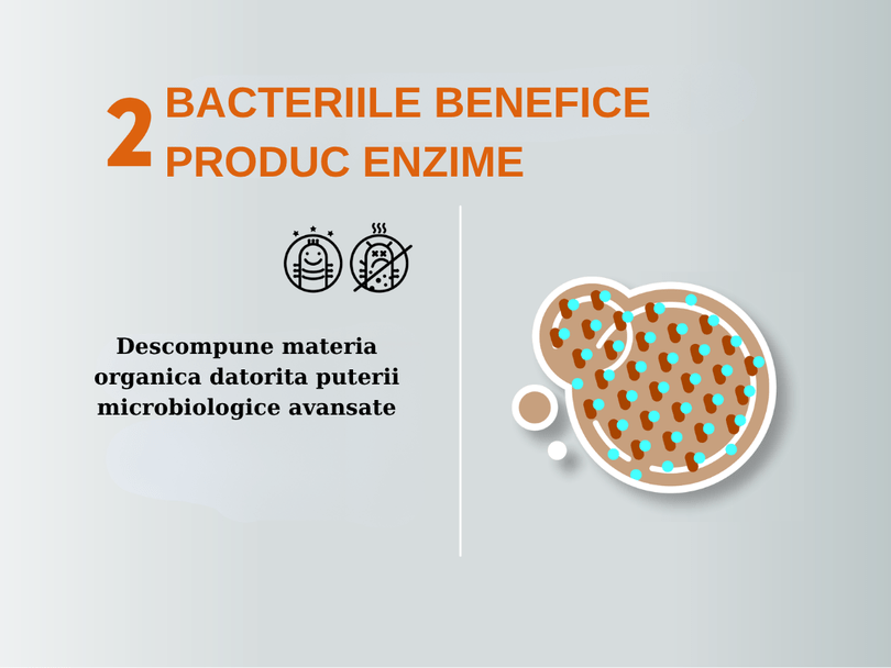 Sloutie eliminare pete