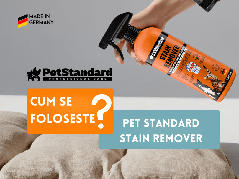 Sloutie eliminare pete